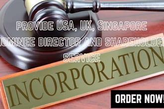 provide nominee director, shareholder services UK, US, singapore company
