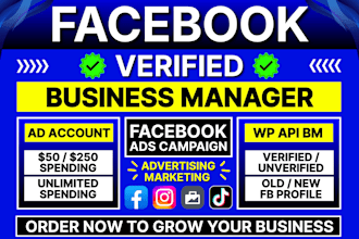 create fresh facebook business manager and ads campaign, fb ad account manager