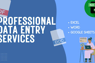 do accurate data entry, typing, copy paste and excel work