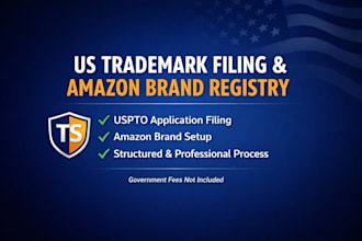 file your US trademark and register your amazon brand registry