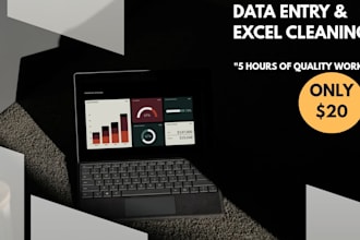 do expert data entry and excel data cleaning