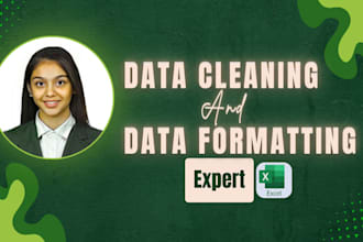 do professional data entry, data cleaning and excel cleanup