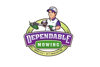 design a unique creative mascot dependable logo