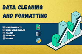 do professional data cleaning and excel spreadsheet cleanup