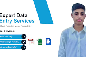 ido accurate data entry, excel, word and PDF conversion
