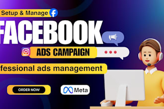 setup and manage facebook meta ads campaign