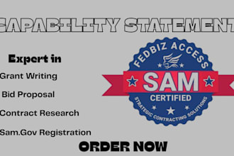 design a professional and stunning capability statement