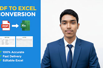 professionally convert PDF to excel or xlsx files