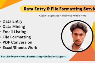 do data entry and clean file formatting