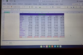 do accurate excel data entry and data processing