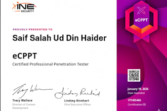 perform network penetration testing