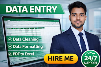 do excel data entry, data entry, PDF to excel data entry