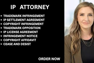 prepare trademark opposition responses, copyright and infringement complaints