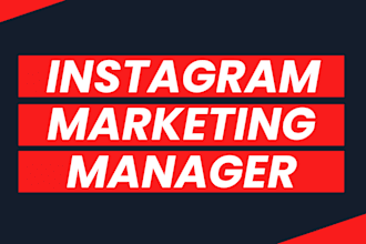 do instagram marketing manager