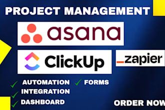 be your asana clickup automation specialist