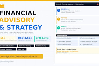 provide financial advisory and strategic analysis for business decisions