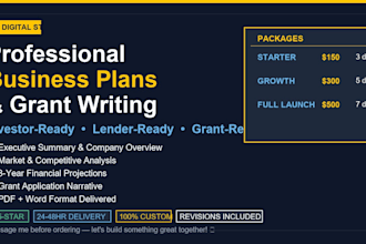write investor ready business plan and financial projections