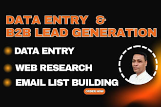 data entry data analytic ms word ms excel