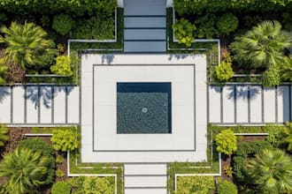 design a modern tropical minimalist garden with plants suggestion