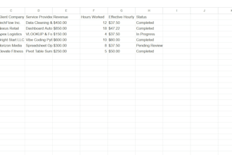 your excel expert for data organization and custom spreadsheets
