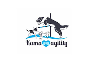 create thrilling logo for a dog agility lifestyle blog
