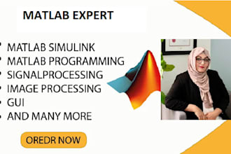 ill do matlab programming, signal processing, image processing, simulink and gui