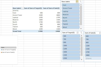 create professional excel dashboards and pivot tables