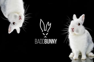 make a modern and unique minimal logo and any graphics design for your business
