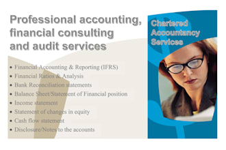 provide professional accounting, audit, and financial consulting services