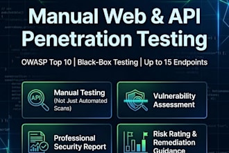 conduct security testing for your website