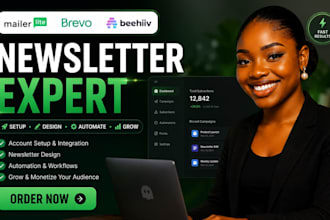 setup brevo mailerlite beehiiv landing page beehive newsletter bervo automation