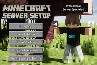 setup and optimize a professional minecraft server