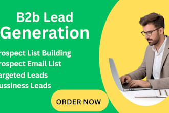 provide b2b lead generation and linkedin lead generation