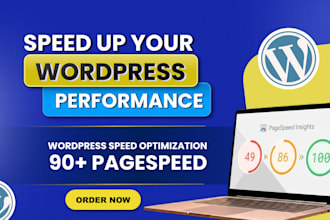 do wordpress speed optimization for google pagespeed insight
