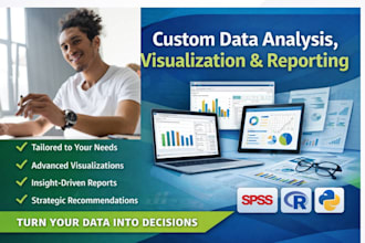 perform custom data analysis, visualization, and reporting
