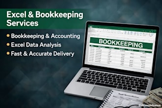 provide accurate bookkeeping, data entry and excel accounting support
