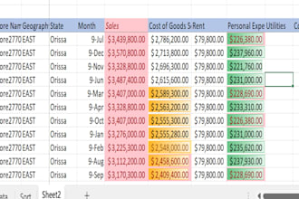 do data entry for you to keep a correct accounting recording of your fs