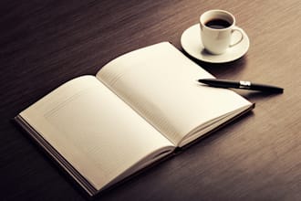 review and critique the first 25 pages of your book