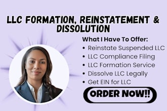llc formation, ein filing, reinstatement, dissolution , compliance support help