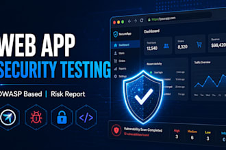 perform web application security testing based on owasp standards