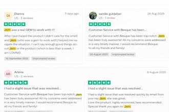provide professional ecommerce customer support