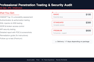 do a professional penetration test and security audit of your web application