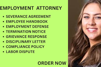 assist with employee discipline, handbooks, termination and labor case documents