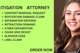 handle cyber defamation, media disputes, retraction and false accusation cases