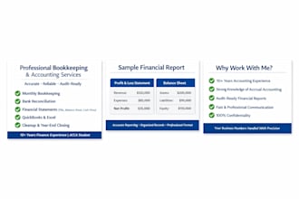 provide professional bookkeeping and accounting services