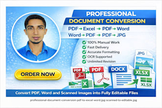 do professional file convert document conversion