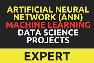 assist in ml ann and data science projects