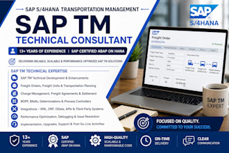provide sap tm technical development, enhancements, apis and abap support