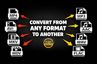 convert video to mp3 or other formats with high quality