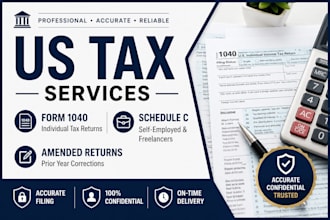 provide professional US individual tax filing services